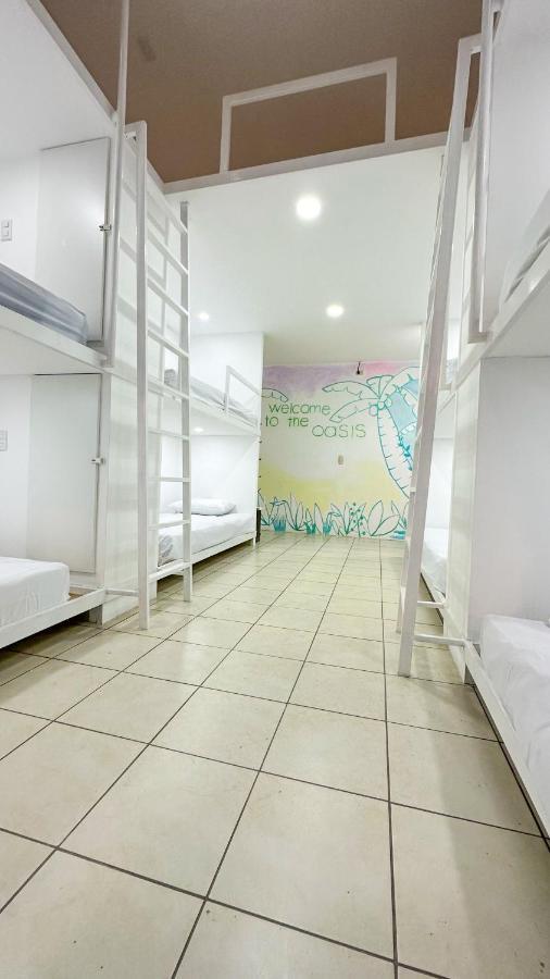 Sjo Oasis Hostel San José Kültér fotó