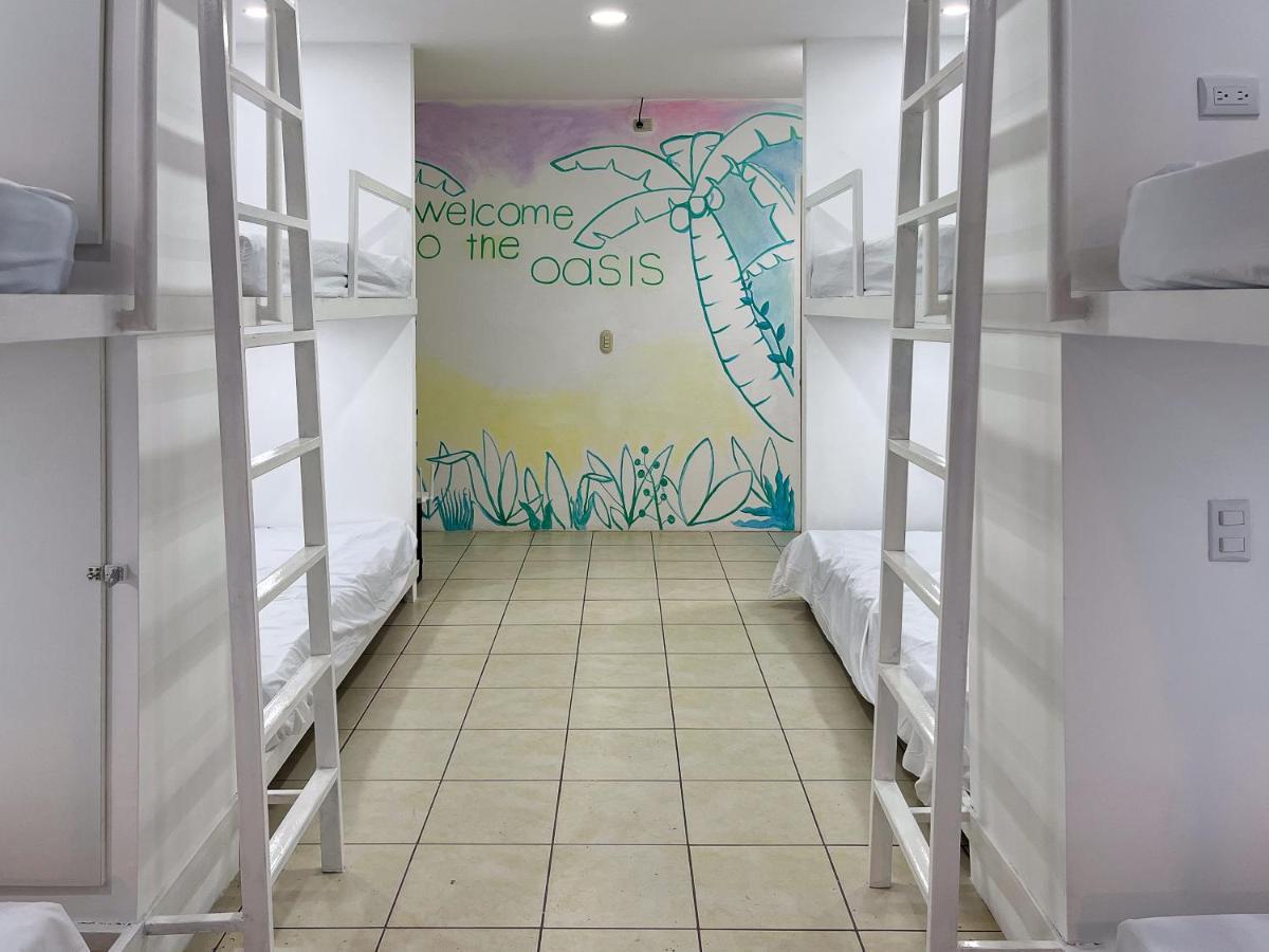 Sjo Oasis Hostel San José Kültér fotó