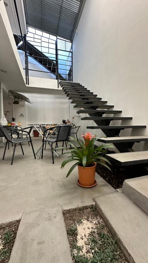 Sjo Oasis Hostel San José Kültér fotó