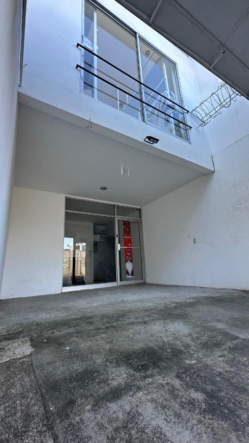 Sjo Oasis Hostel San José Kültér fotó