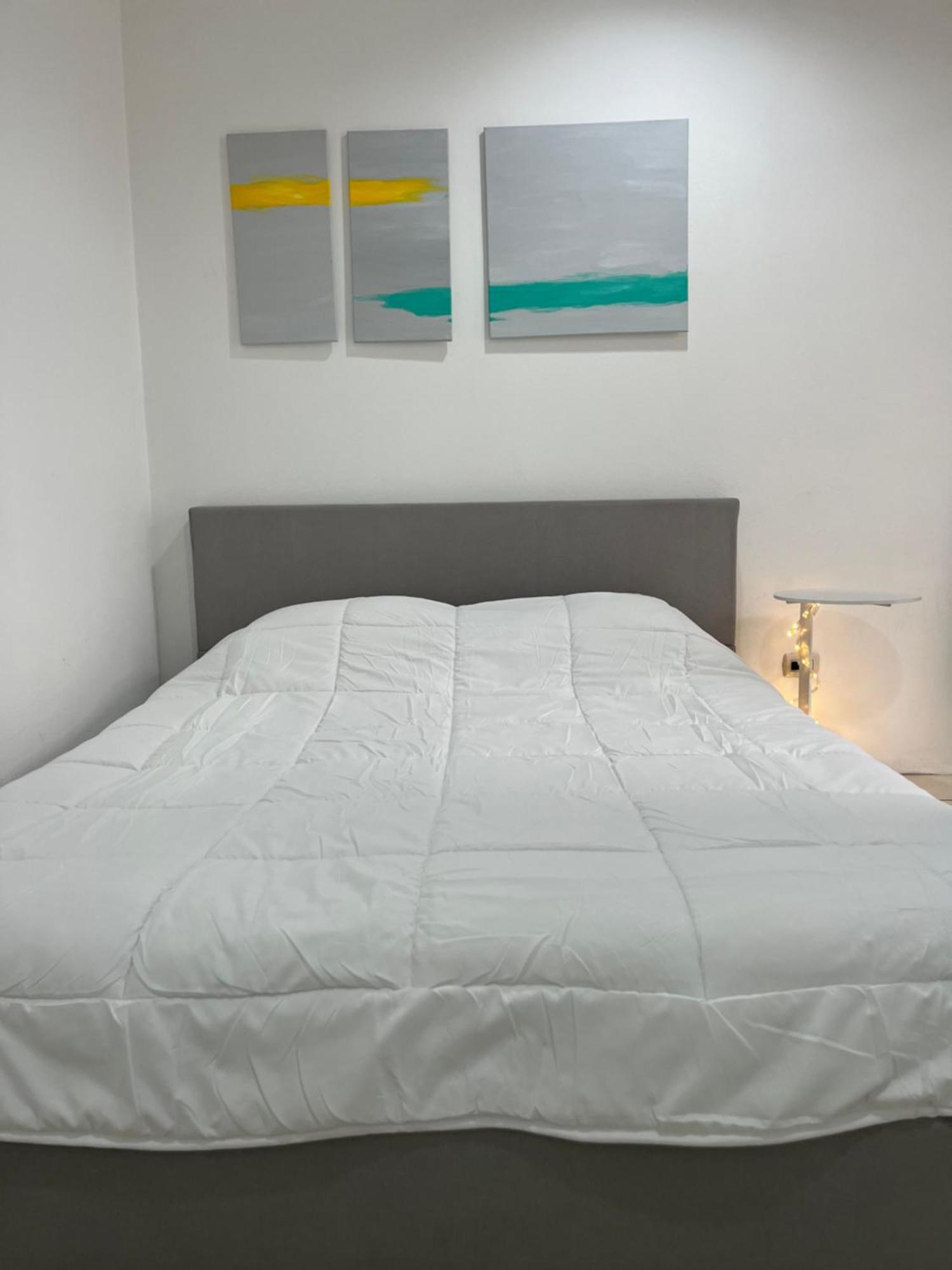 Sjo Oasis Hostel San José Kültér fotó